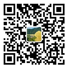 亚投彩票平台登录网站